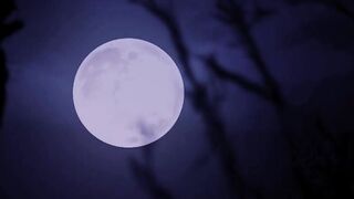 Porn2all - EMILY THORNE HALLOWEEN SPECIAL SEXY AND SCARY